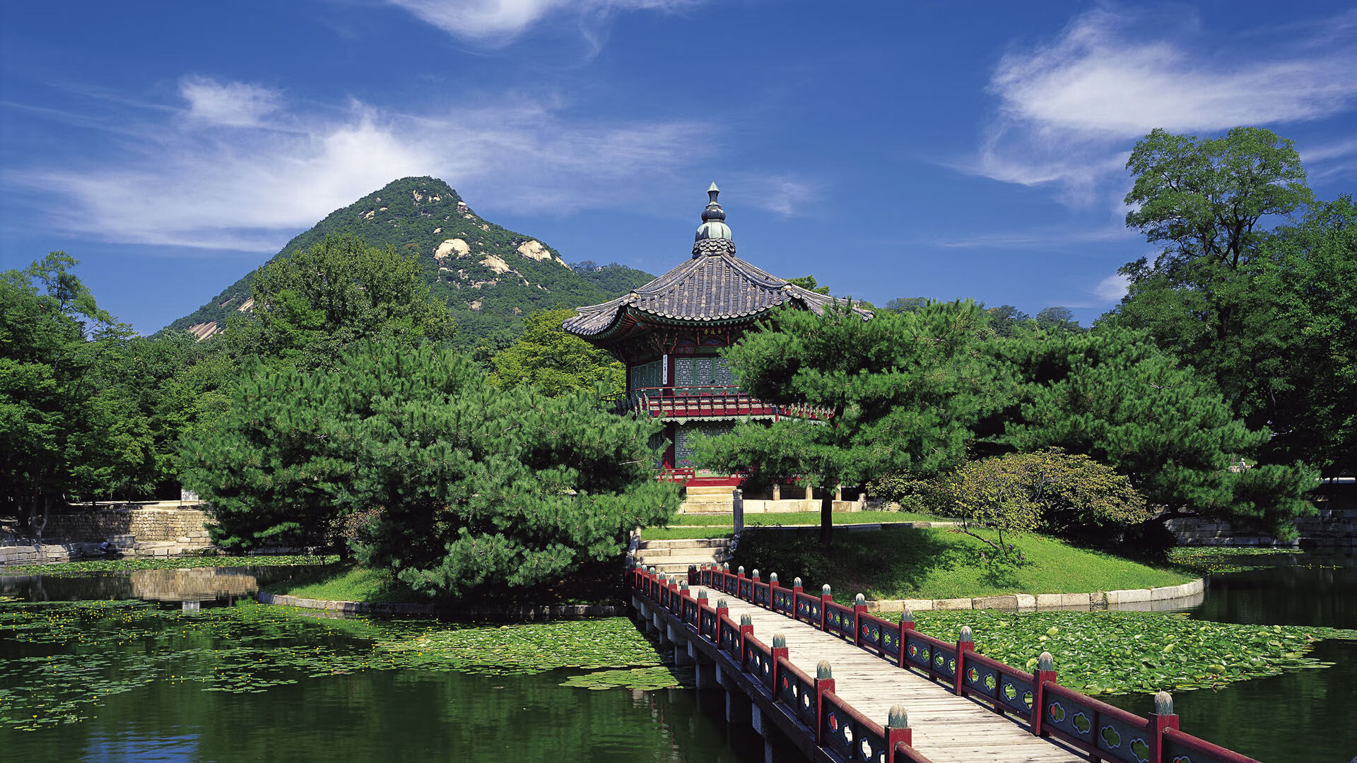 当东方铁骑遇上美式锋芒，辽宁队轻取步行者背后的战术博弈与塔图姆的关键先生启示