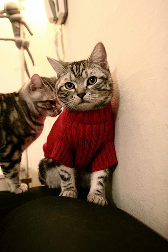 开云体育在线-压倒性优势中的微妙裂痕，金玟哉的制胜一击与贝蒂斯的险胜哲学